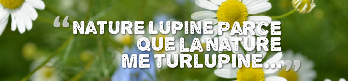Nature Lupine